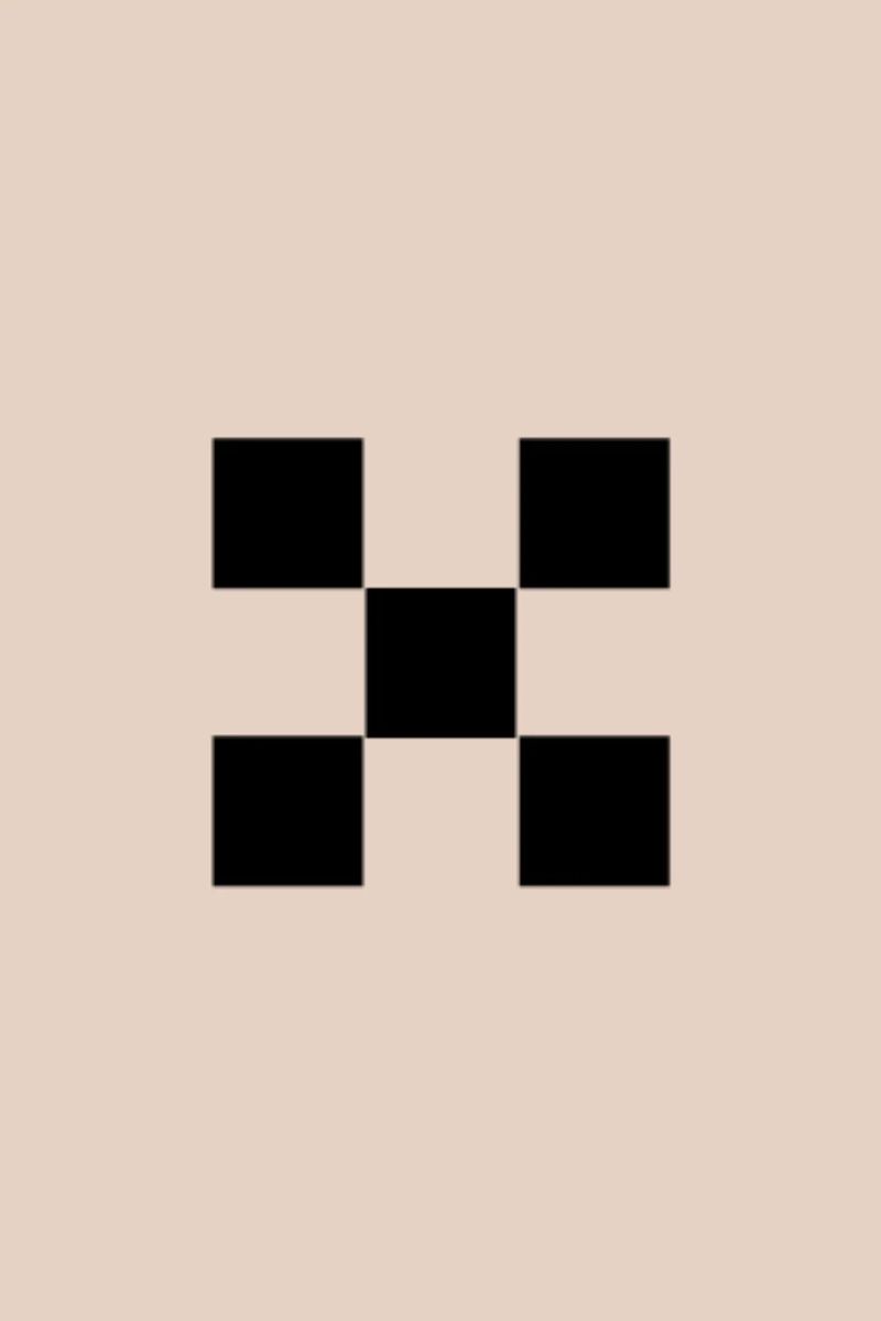 Femme Connection brand graphic: Black check on sand